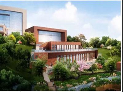 尋找藝體天才：湖畔公學全獎招收高中藝體特長生！