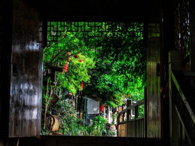 《遠視教育》之五十五 ——過點精細的慢生活 《遠視教育》之五十五 ——過點精細的慢生活