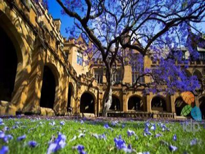 美好學校|走進遠恒佳，世界名校與您有約