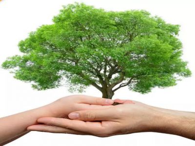 家?；觸朱永新：家庭教育關(guān)鍵十點