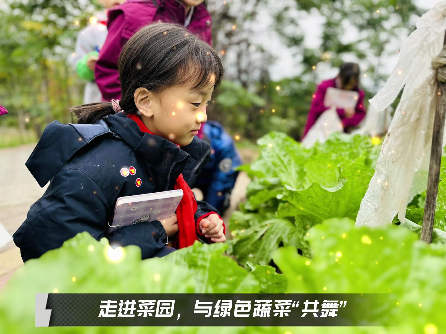 #美好學校|留校時光，走出教室，與綠色蔬菜共舞